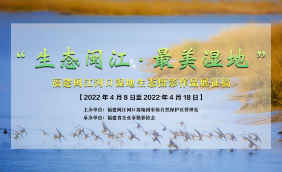 征稿启事！“生态闽江·最美湿地”生态摄影作品展